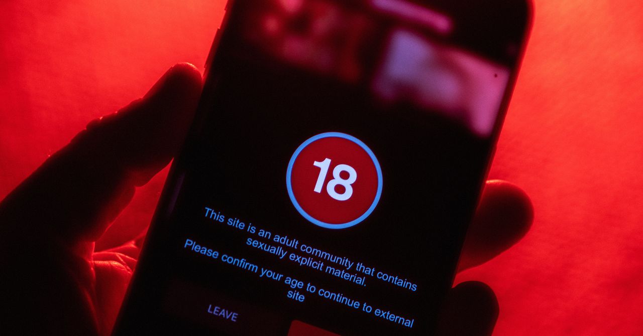 Pornhub's UK Protest Exposes Critical Flaws in Digital Age Verification