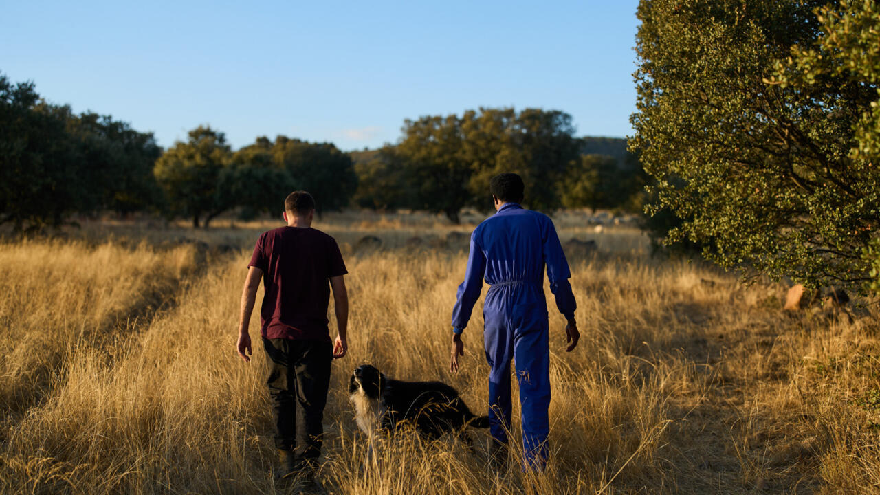 España impulsa regularización masiva de medio millón de migrantes frente a la tendencia restrictiva europea