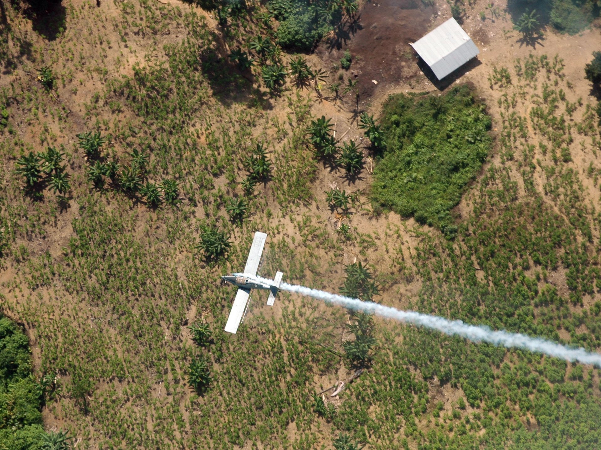 Fatal Aircraft Incident Near Venezuela Border Claims Colombian Lawmaker, Highlighting Regional Instability