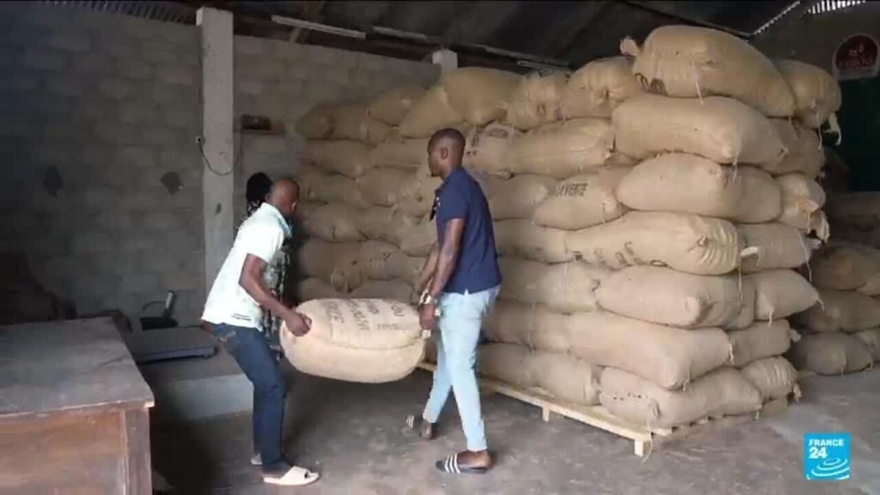 Ivory Coast Intervenes as Unsold Cocoa Haunts West African Supply Chain Amid Price Volatility