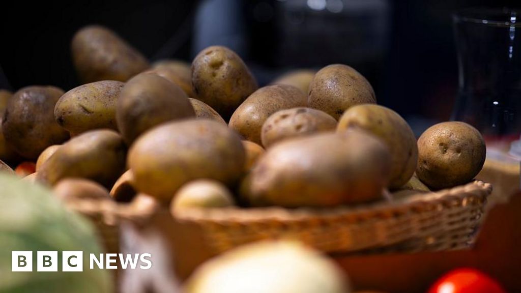 German Farm Donates Millions of Kilograms of Surplus Potatoes Amid Market Saturation