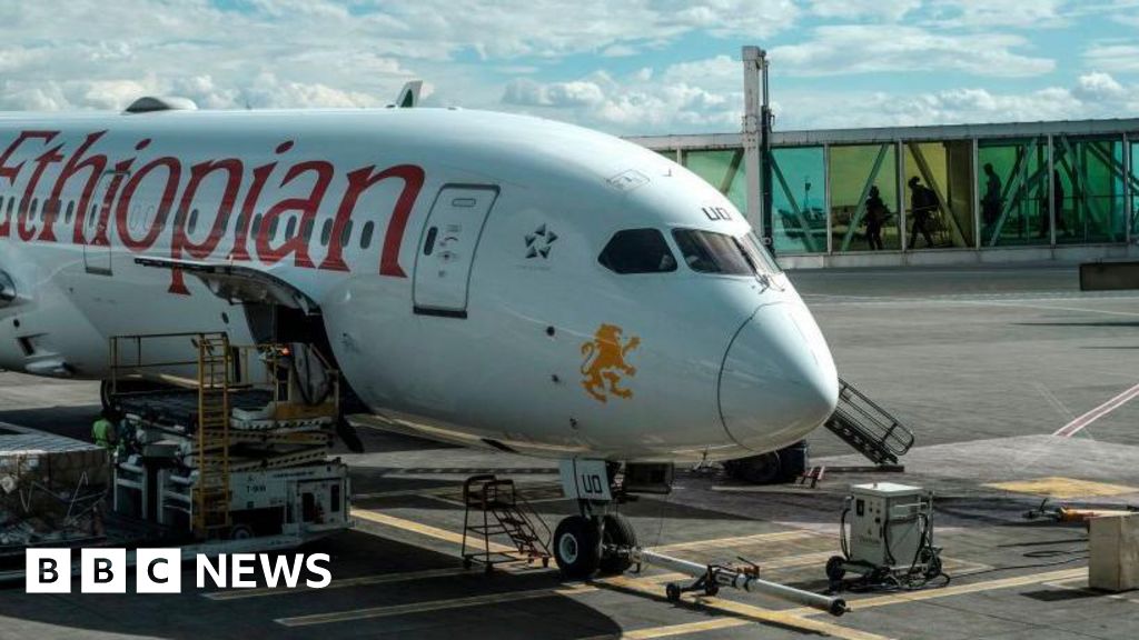 Ethiopian Airlines Halts Flights to Tigray Amid Renewed Conflict Fears