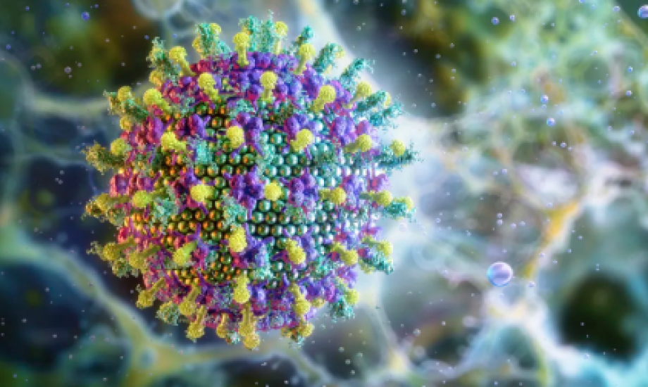 Two Nipah Virus Fatalities in India Prompt International Health Screening Increases