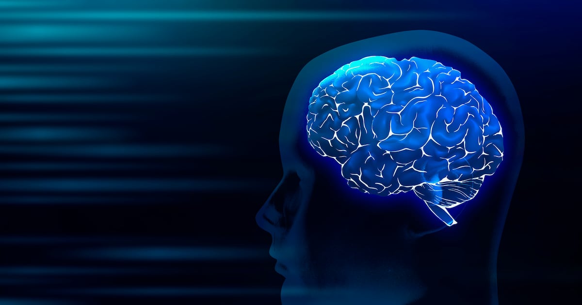 Expertos desmienten viabilidad de borrar recuerdos con tecnología TMS