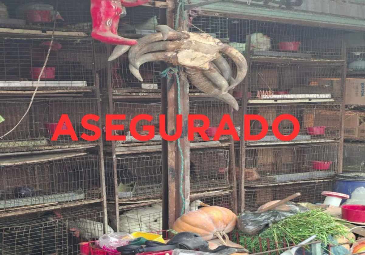 Fiscalía del Edomex rescata 162 animales de mercado en Cuautitlán México