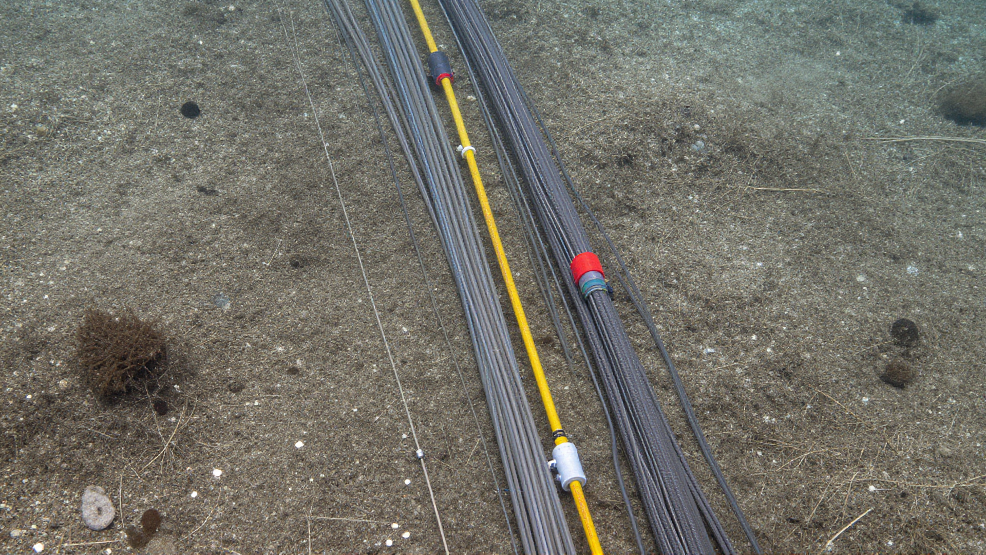 Tensión geopolítica por cable submarino a China polariza debate político en Chile