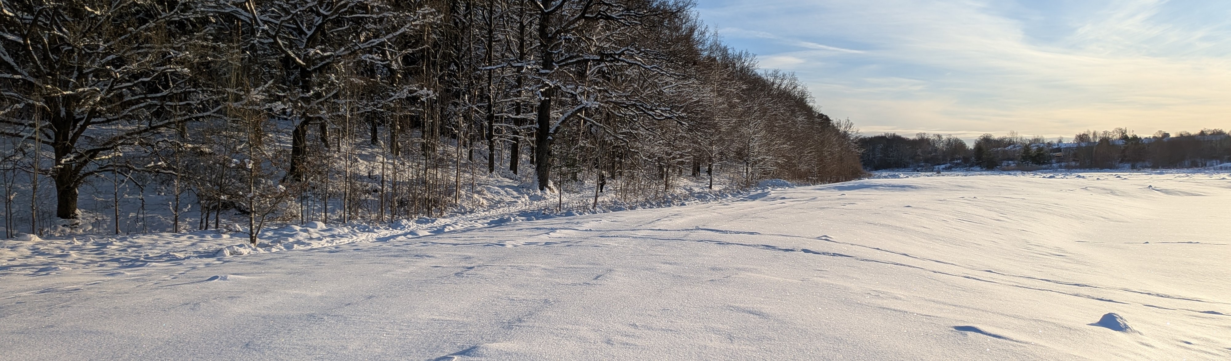 Developer Highlights Utility of --dry-run Flag in Complex Reporting Systems