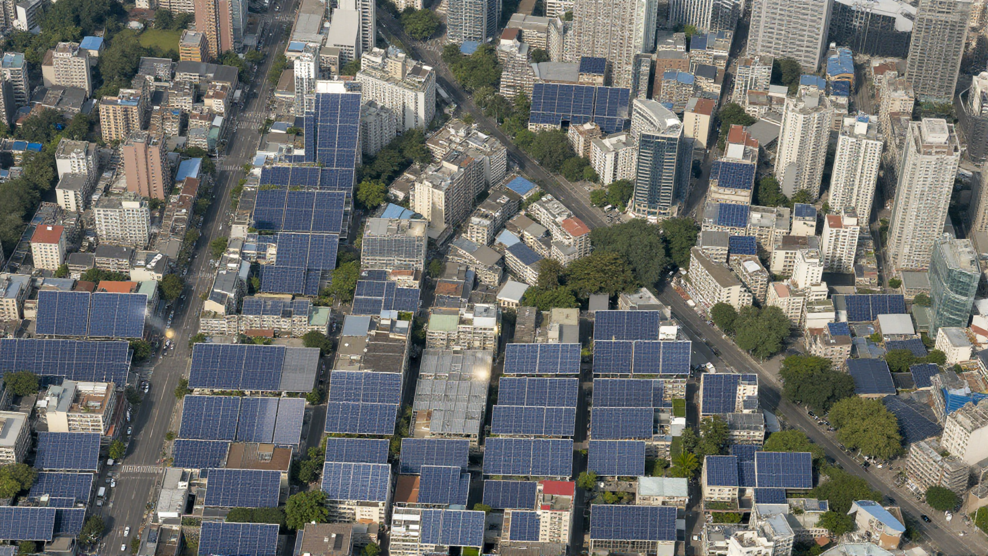 OpenTrees.org Aggregates Over 13 Million Open Data Trees Across 19 Countries