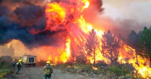 Extreme Heat Fuels Megafires in Argentine Patagonia, Threatening Ecosystems