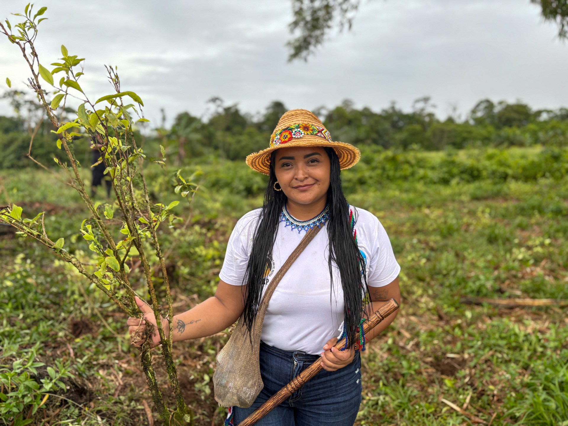 US-Colombia Divide Deepens Over Coca Eradication Strategy Ahead of Trump-Petro Meet