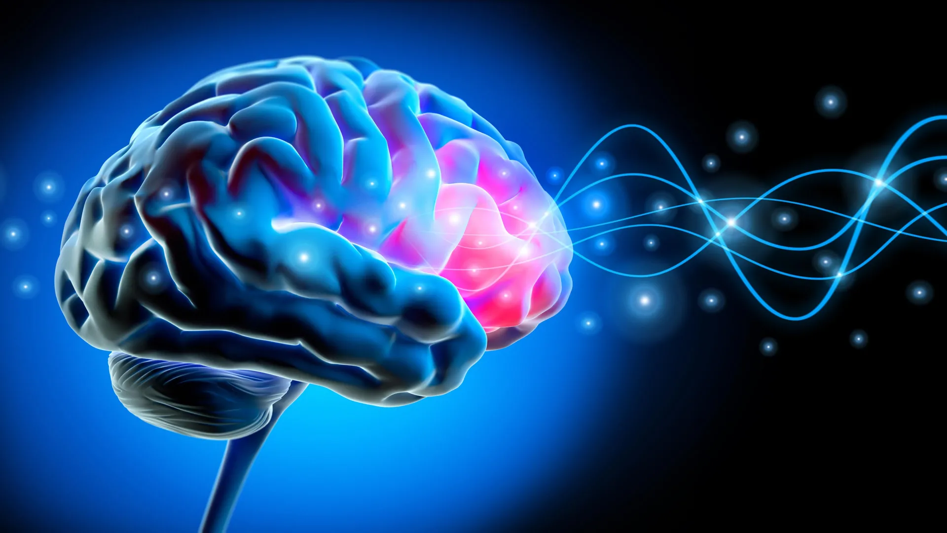 Monash Study Finds Sleep-Like Brain Activity Linked to ADHD Focus Lapses