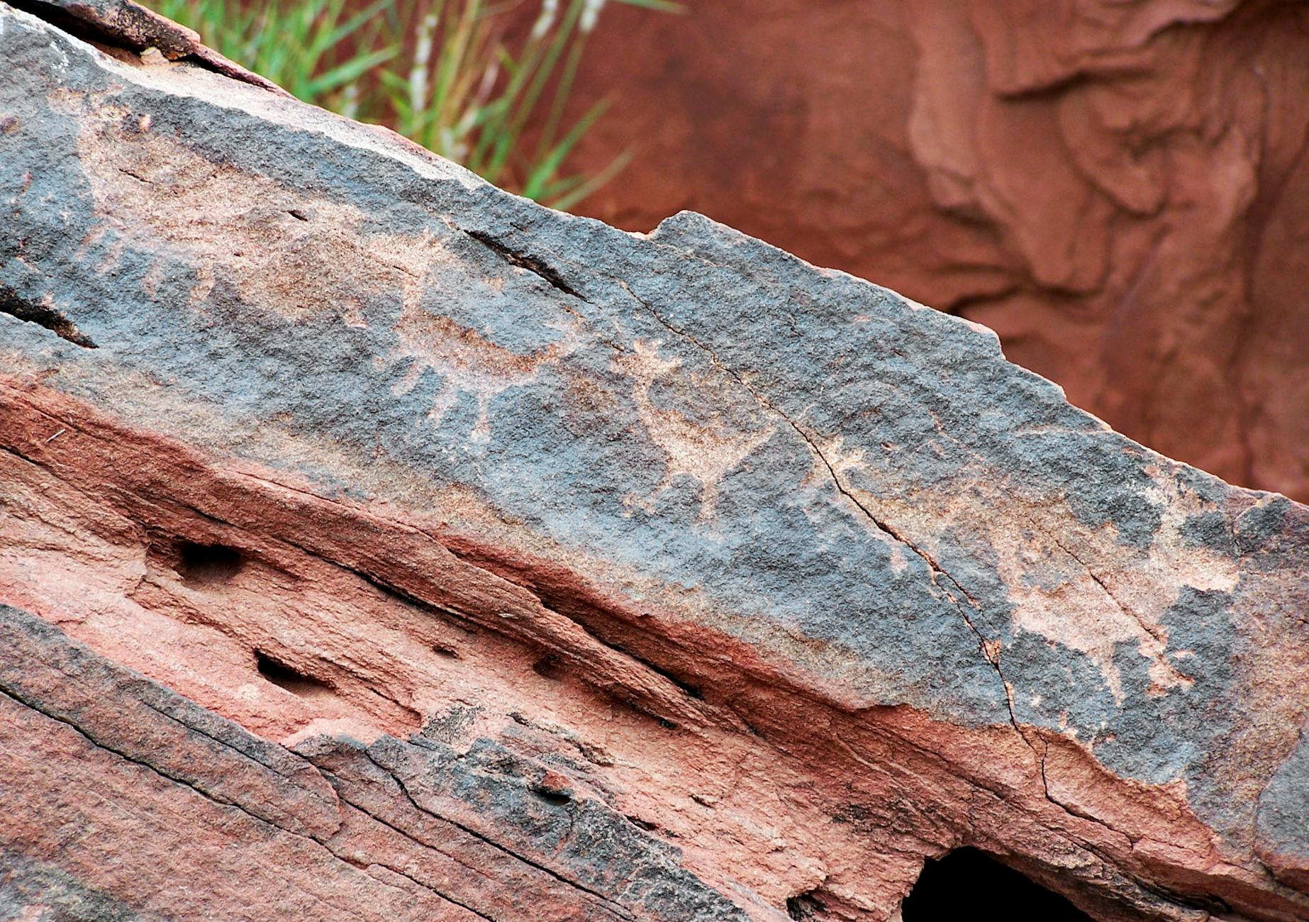 Neanderthals Used Birch Tar As Antiseptic, Study Finds