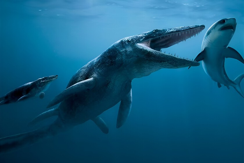 New Mosasaur Species Discovered In Mexico After 20 Years Of Study