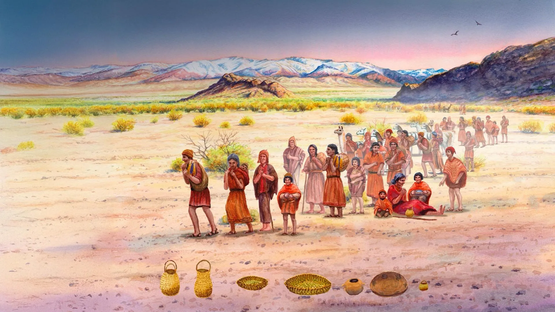 Ancient DNA Study Reveals Indigenous Continuity in Argentina Amid Farming Shifts