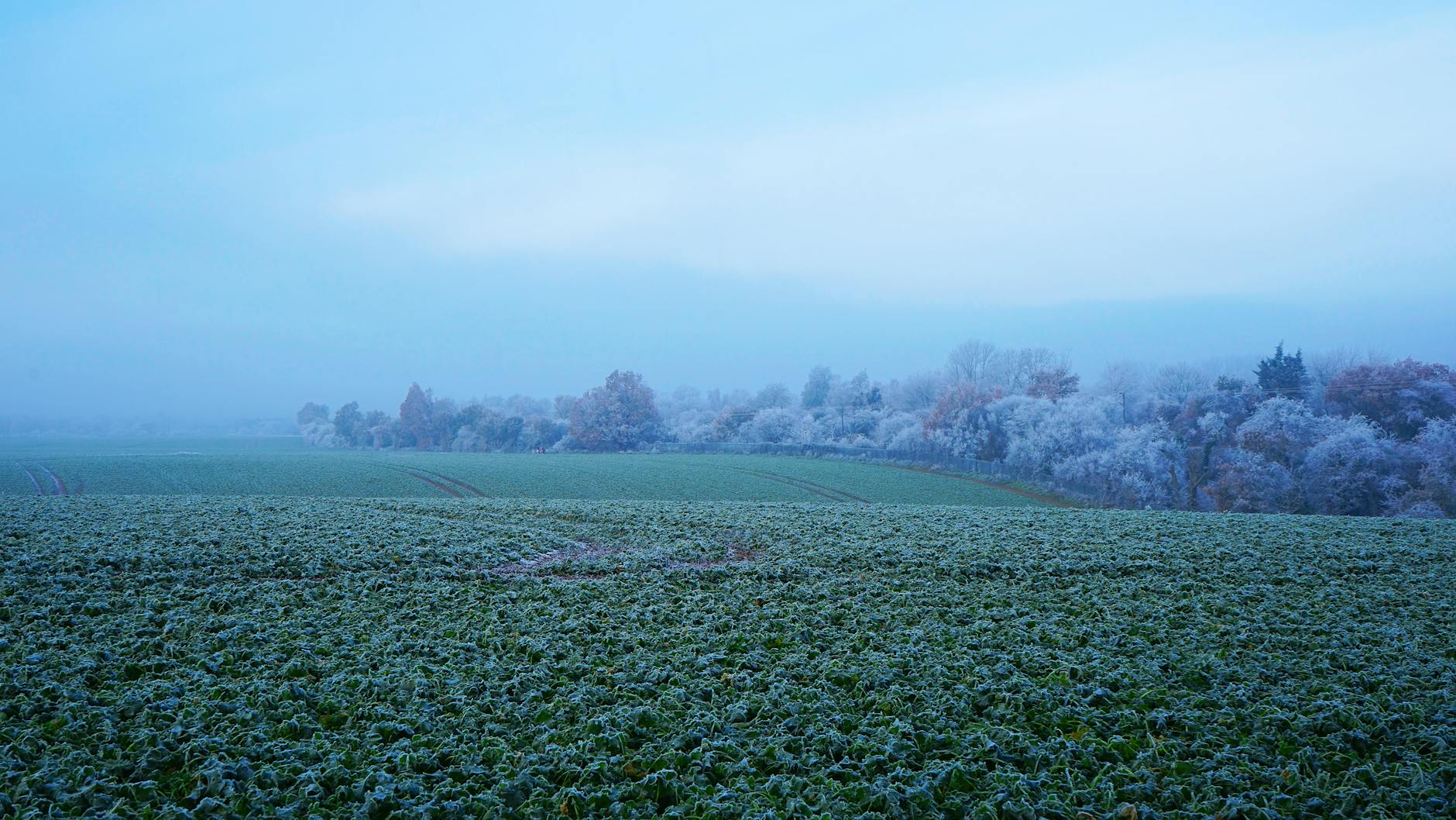 Anticiclón trae la mañana más fría del año a la zona central de Chile