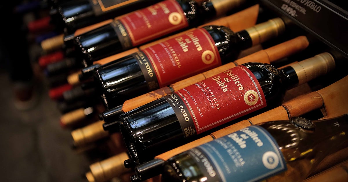 Concha y Toro presenta resultados 2025 y detalla inversiones de 572 millones