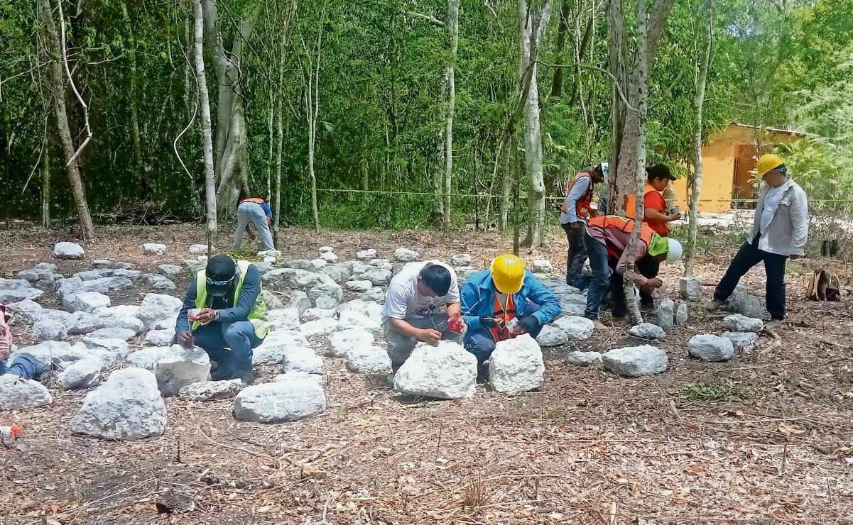 Investigadores exigen aplicación de la ley ante destrucción arqueológica en proyecto Tren Maya