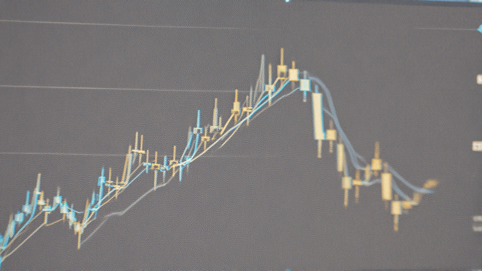 XRP Holds Near $1.41 as Whale Accumulation Signals Potential Breakout Setup