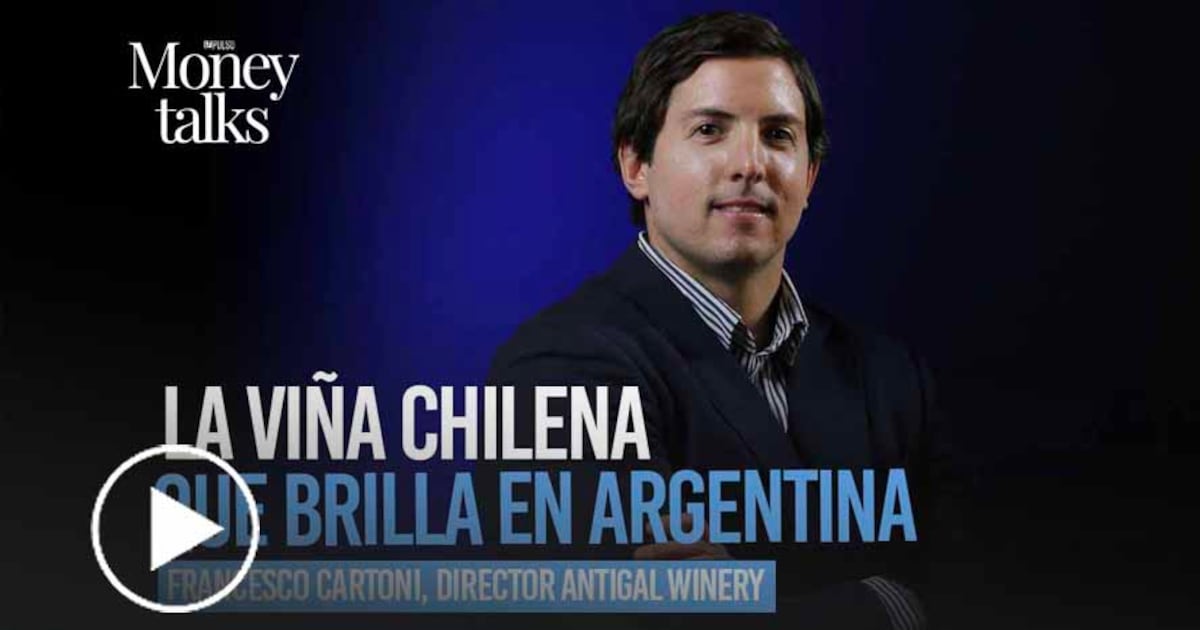 La familia Cartoni expande viña chilena en Argentina tras premio internacional