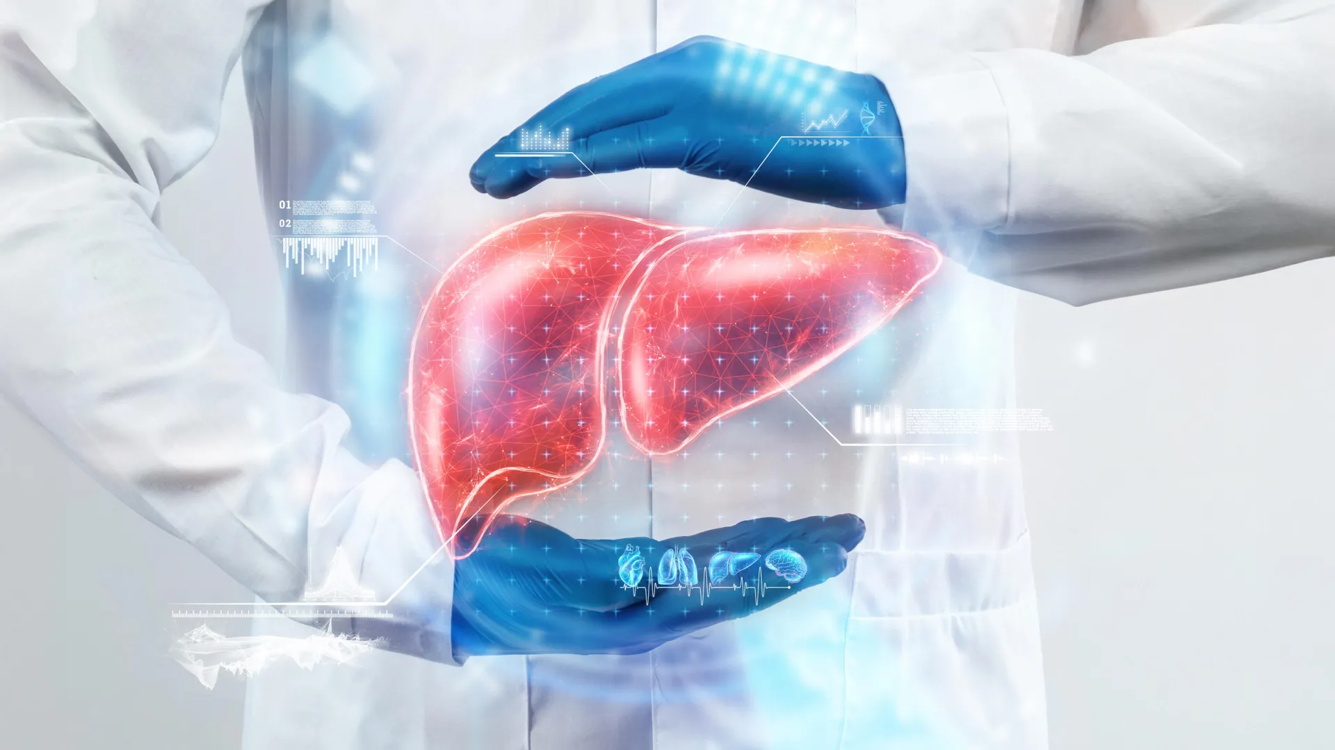 UNIST Researchers Link Vitamin B3 to Fatty Liver Treatment Breakthrough in New Study