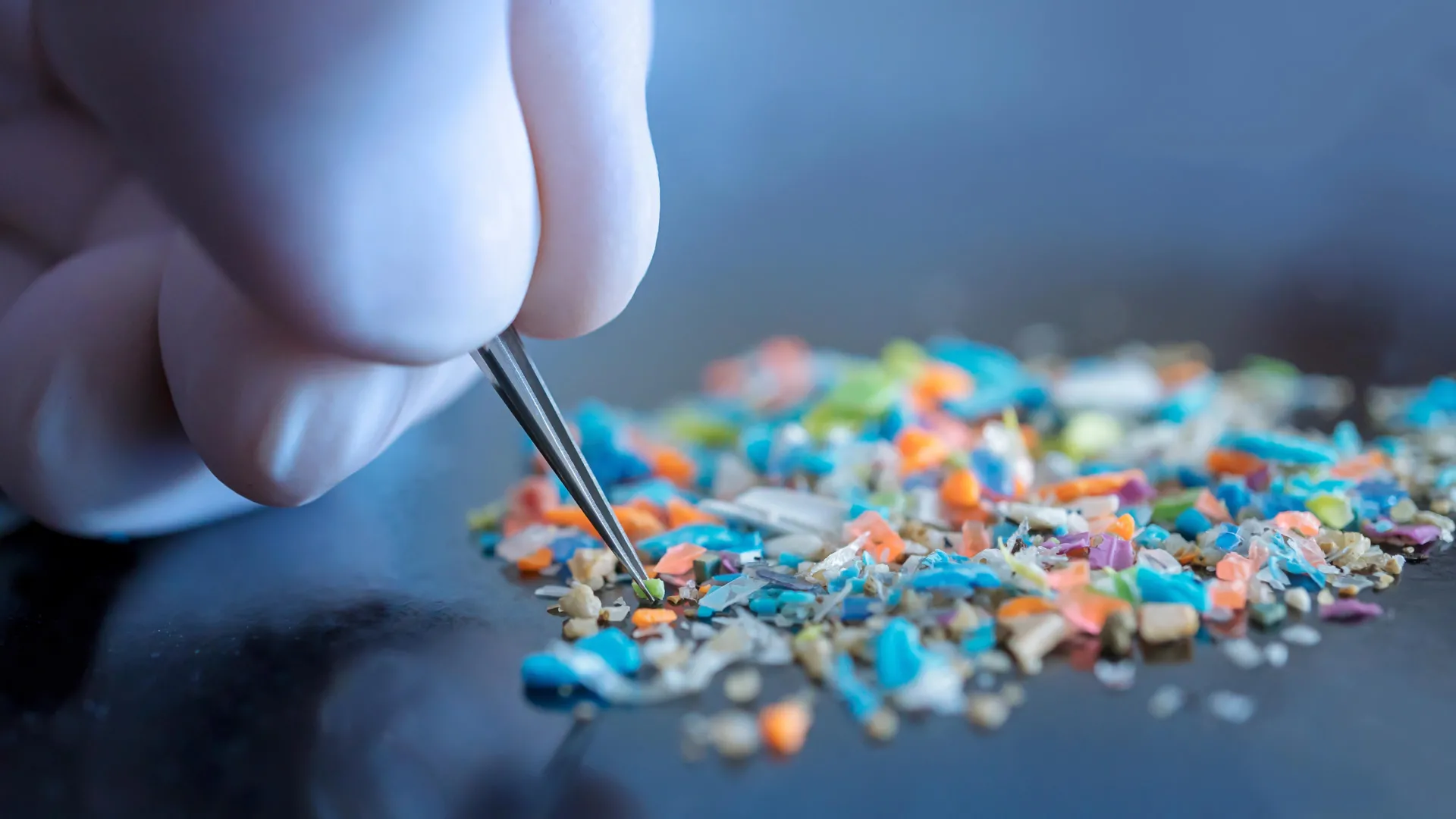 University of Michigan Study Finds Lab Gloves Skew Microplastics Data