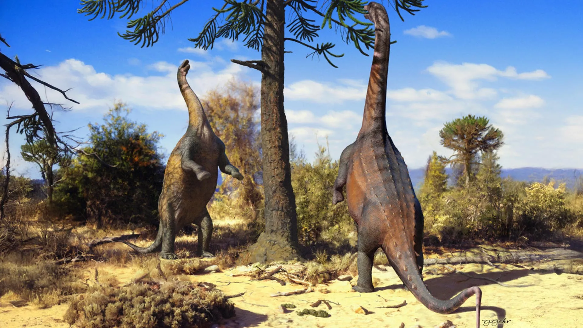 Study Reveals Young Sauropods Could Stand Upright Before Growing Too Large