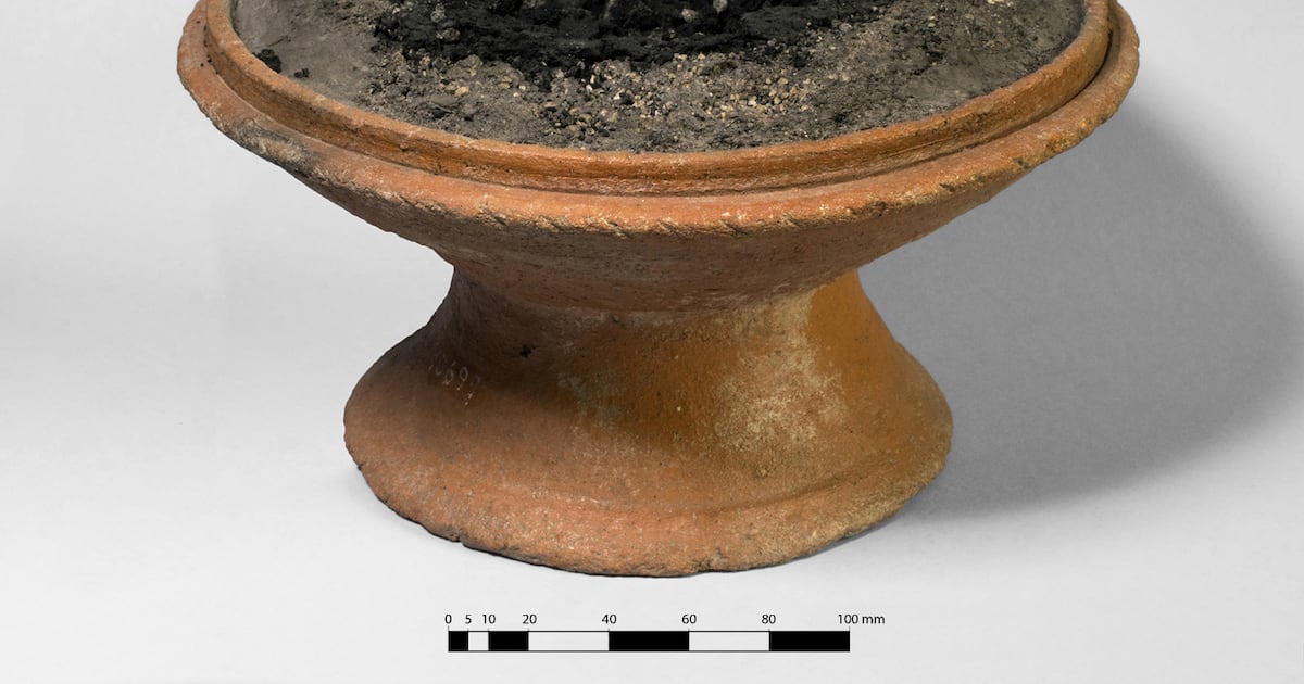 Habitantes de Pompeya utilizaban resinas de África y Asia en rituales domésticos