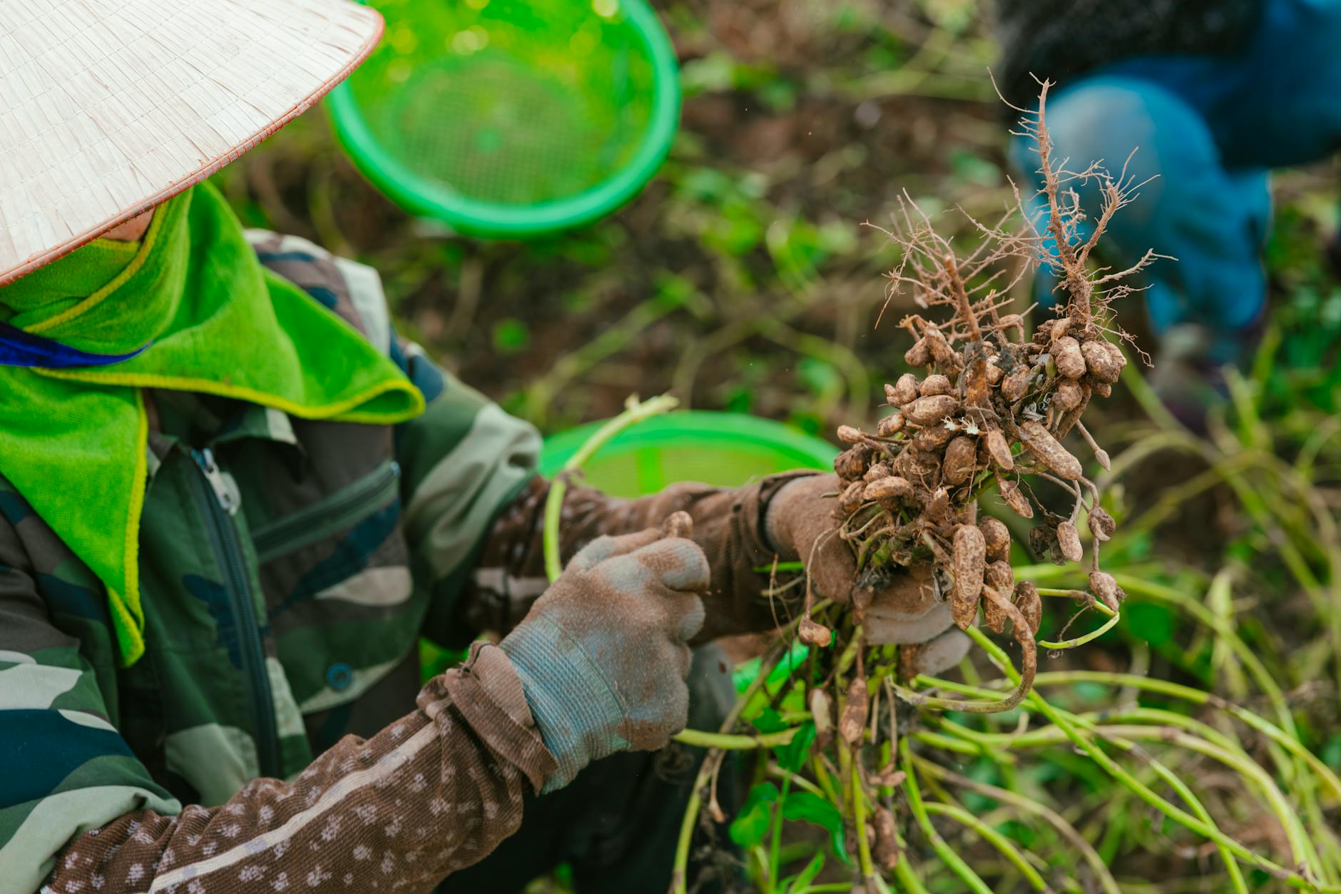 California Renames Cesar Chavez Day Amid Sexual Abuse Allegations