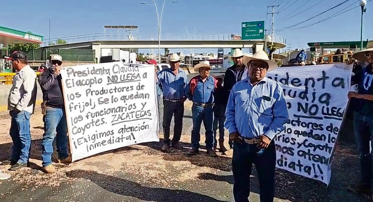 productores de frijol en zacatecas logran acuerdo con el gobierno federal tras protestas