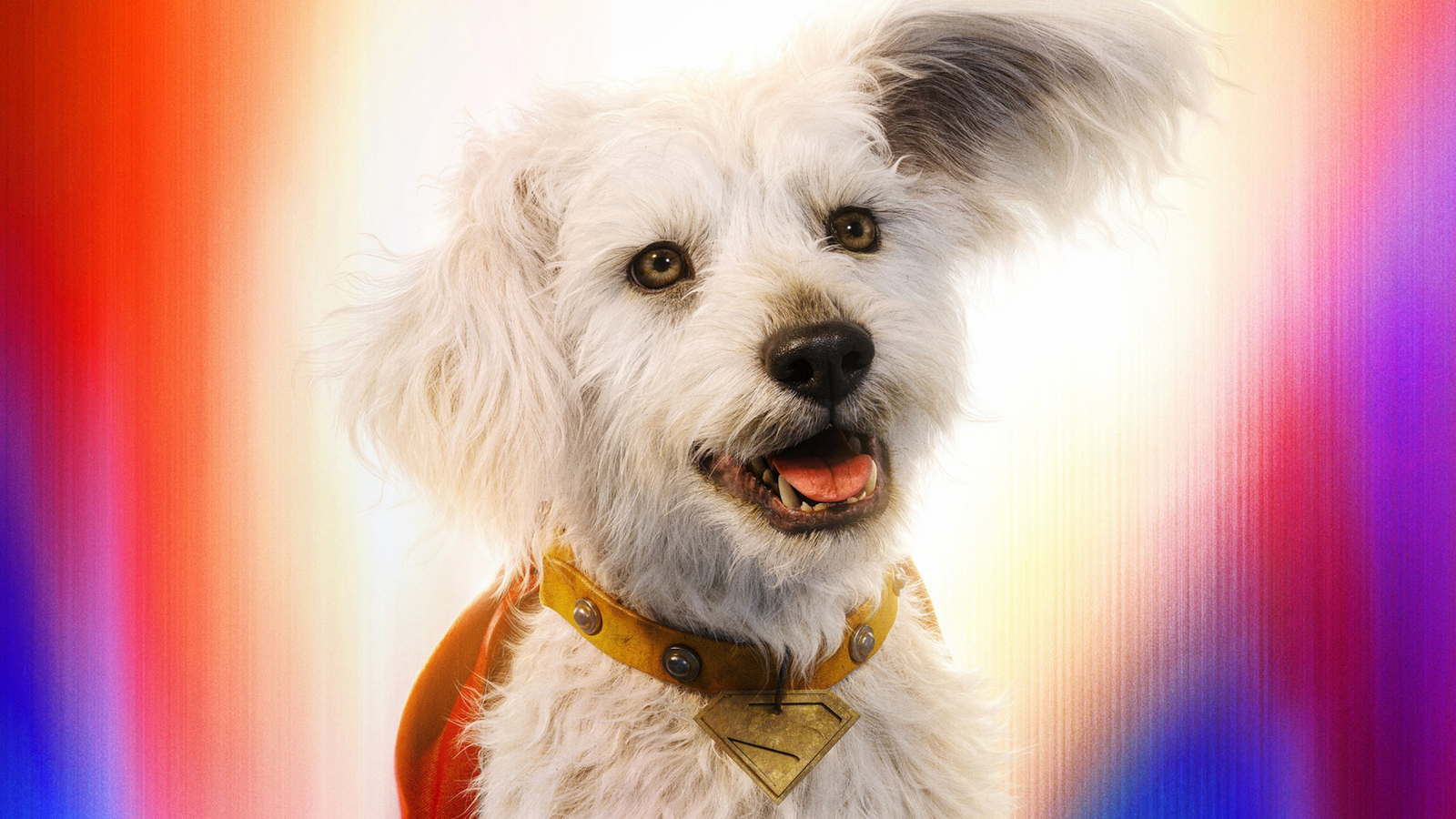 Supergirl Trailer Reveals Krypto Death Scene from Woman of Tomorrow Comic