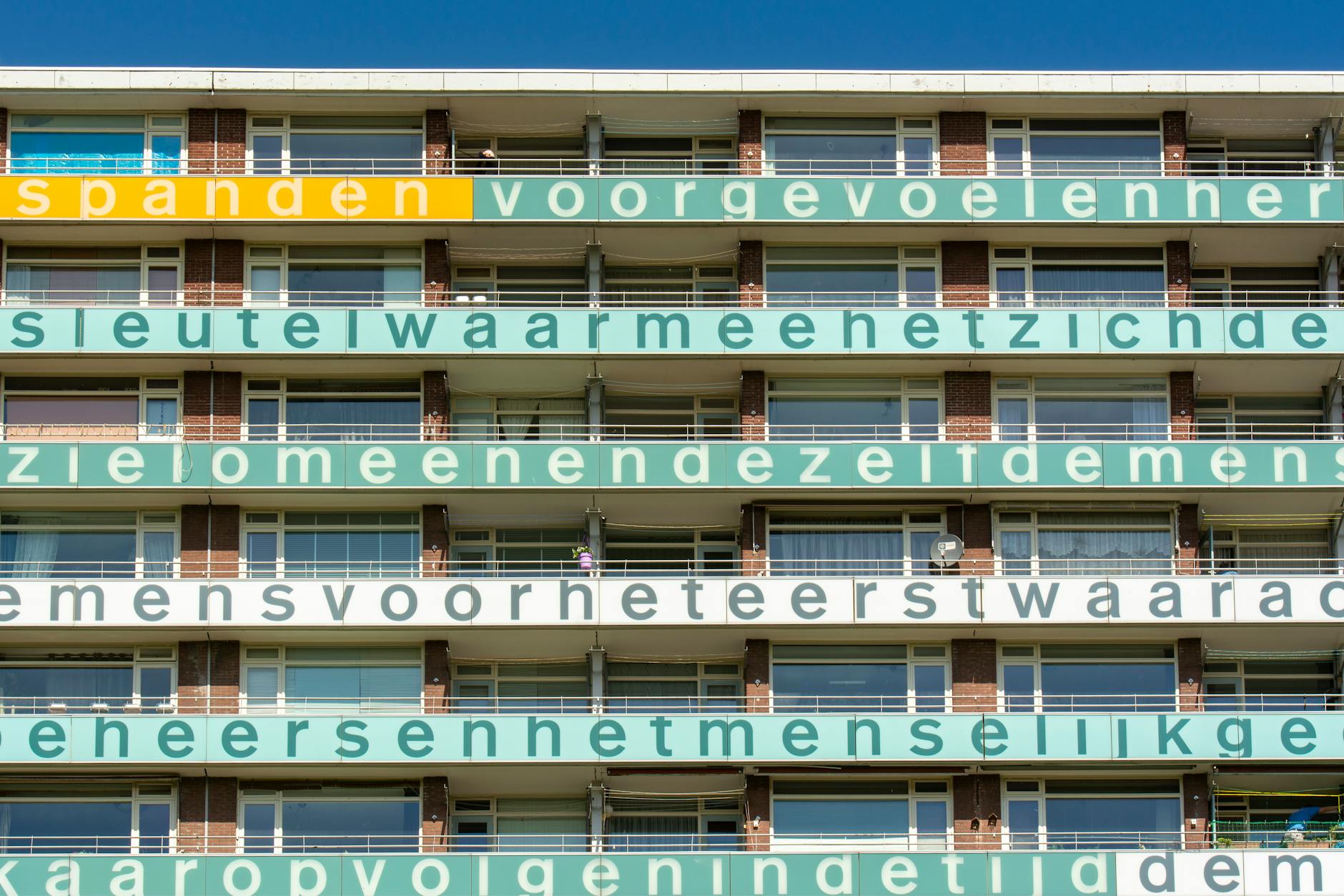 US Judge Halts Trump White House Ballroom Construction Over Legal Violations