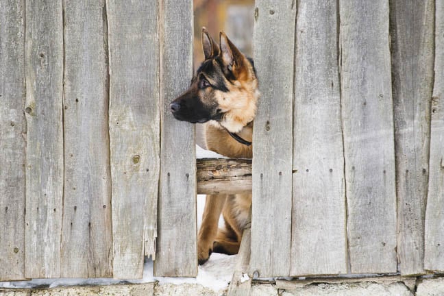 UK CMA Launches Probe into Microsoft Cloud Software Licensing Practices