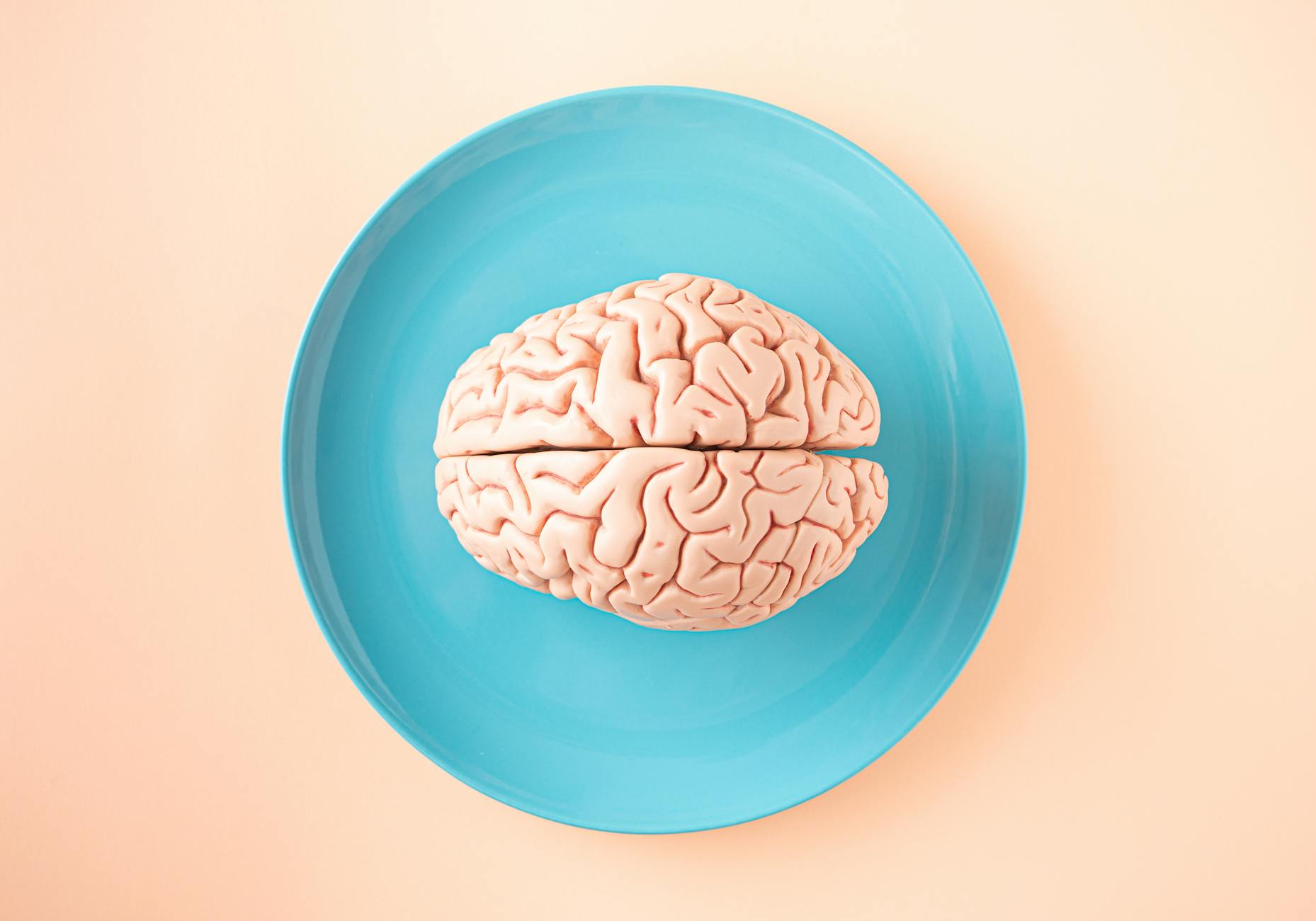 科学家发现导致大脑衰老的关键蛋白质