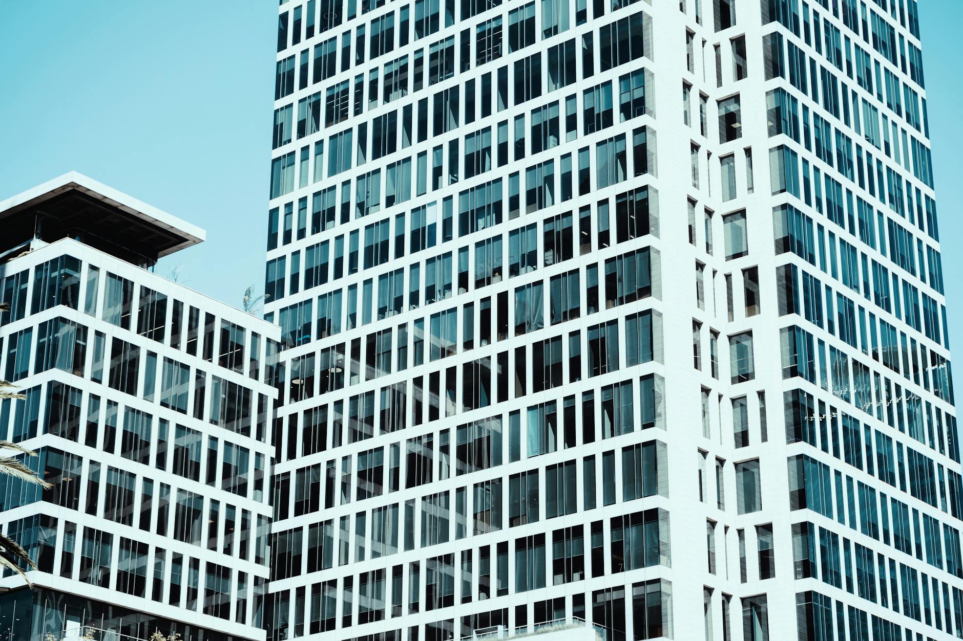 Los contribuyentes pueden presentar su declaración anual sin e.firma activa bajo reglas específicas del SAT