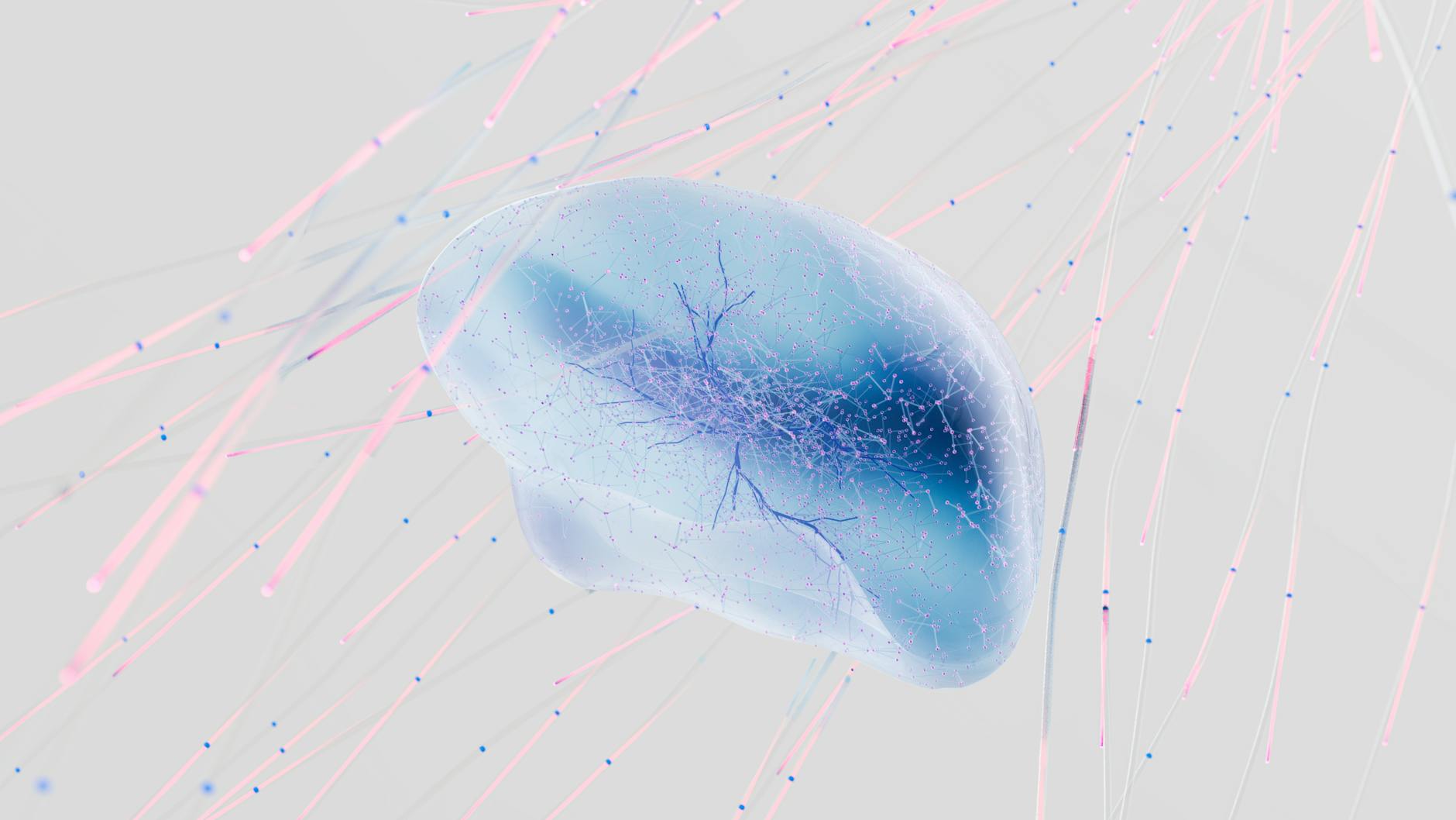Brain cells once dismissed as support staff found to control appetite