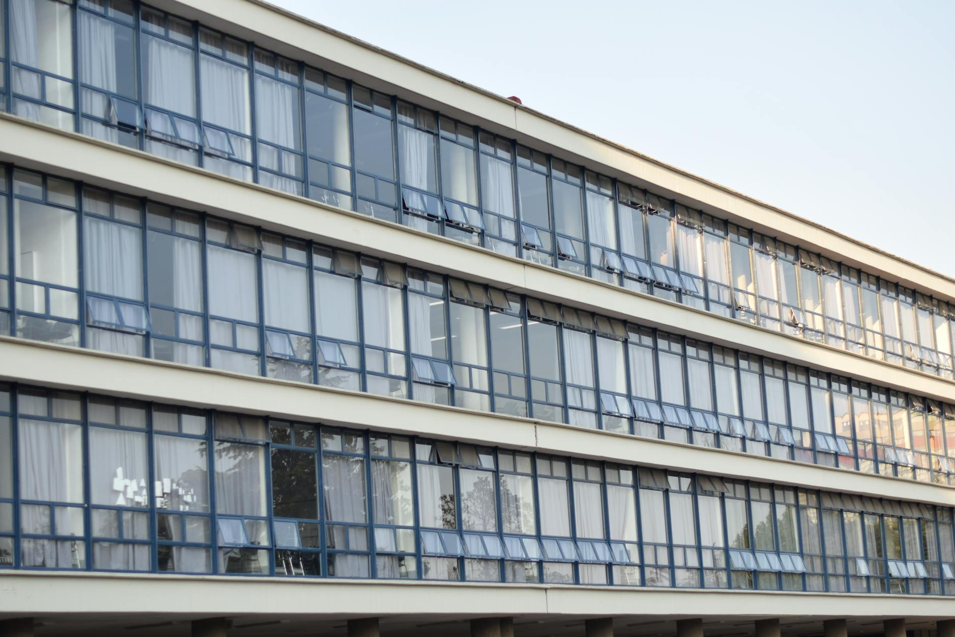 Mexican consumer agency finds common flavored milks contain vegetable fat