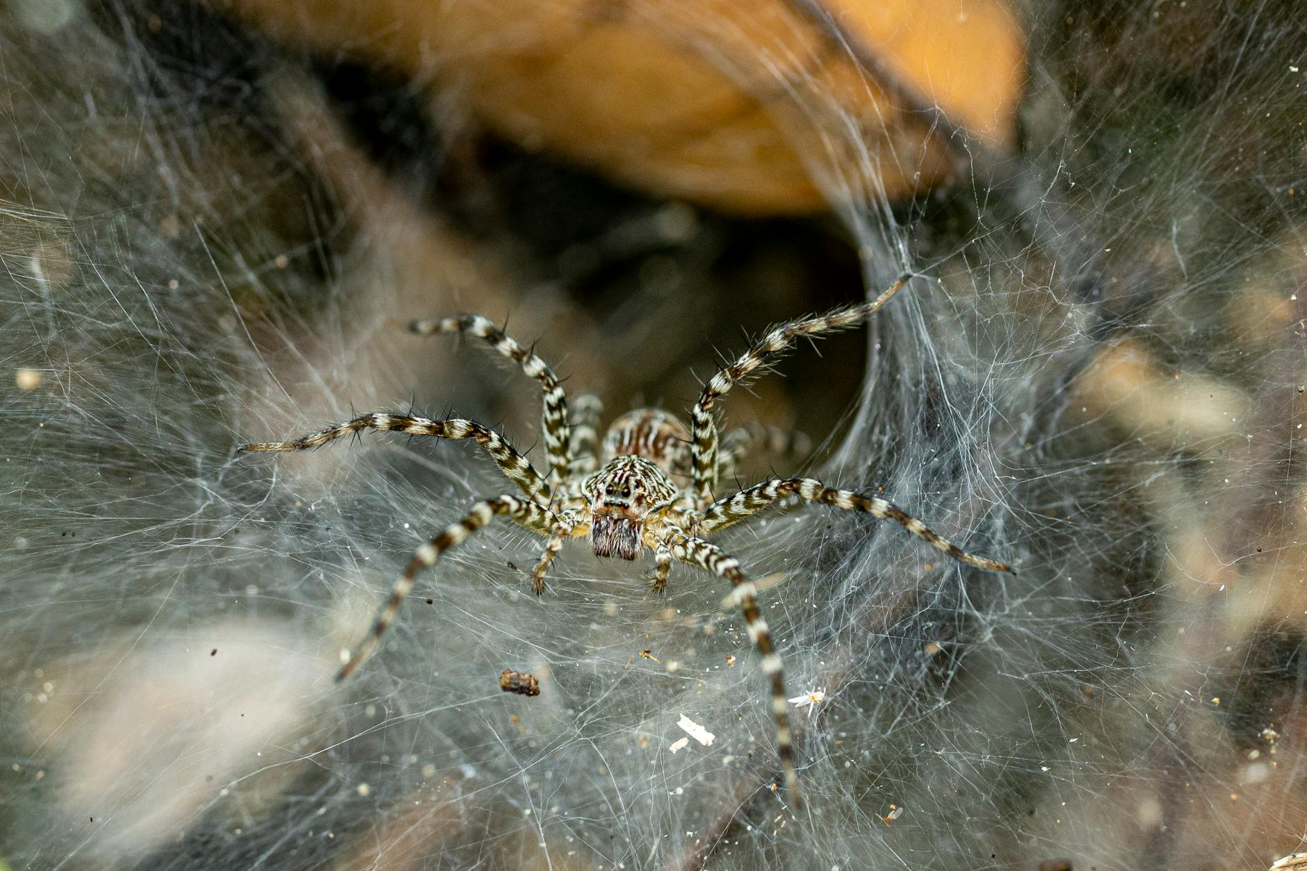 Cloudflare and GoDaddy Partner to Launch AI Crawler Control Tools