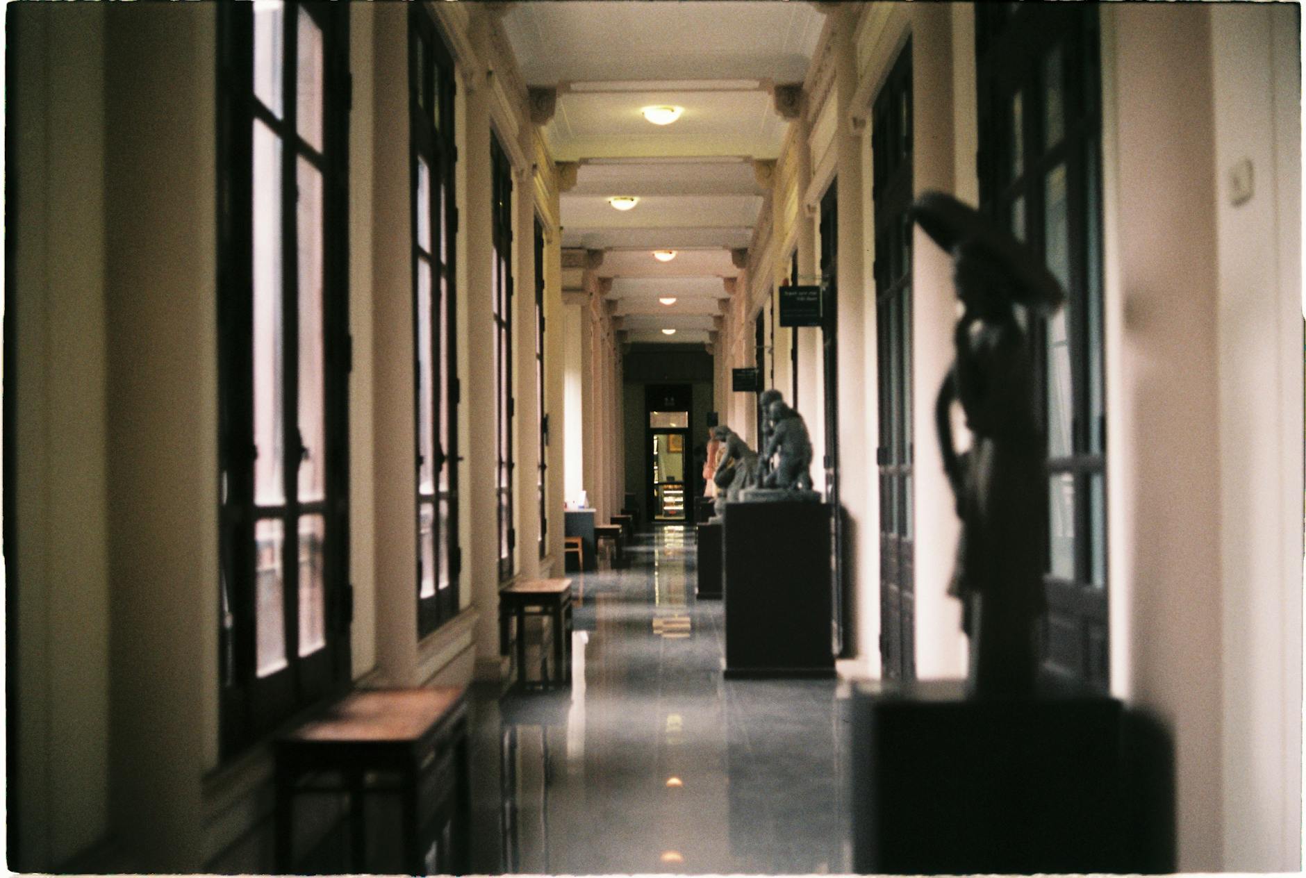 法国议会即将辩论新法案，旨在归还殖民时期掠夺的艺术品