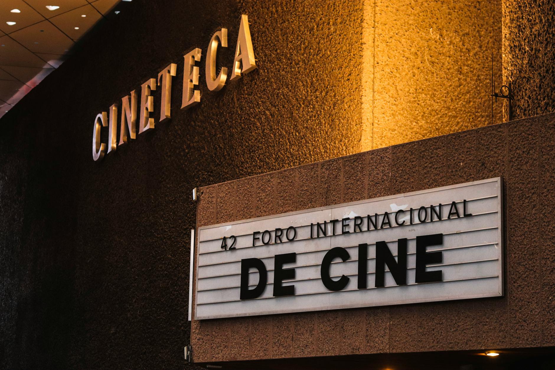 Fran García-Huidobro deja su puesto de jurado en FDB