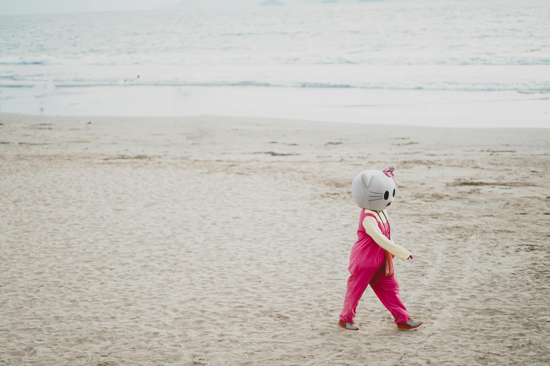 Sunblink prepares Hello Kitty Island Adventure players for City Town expansion