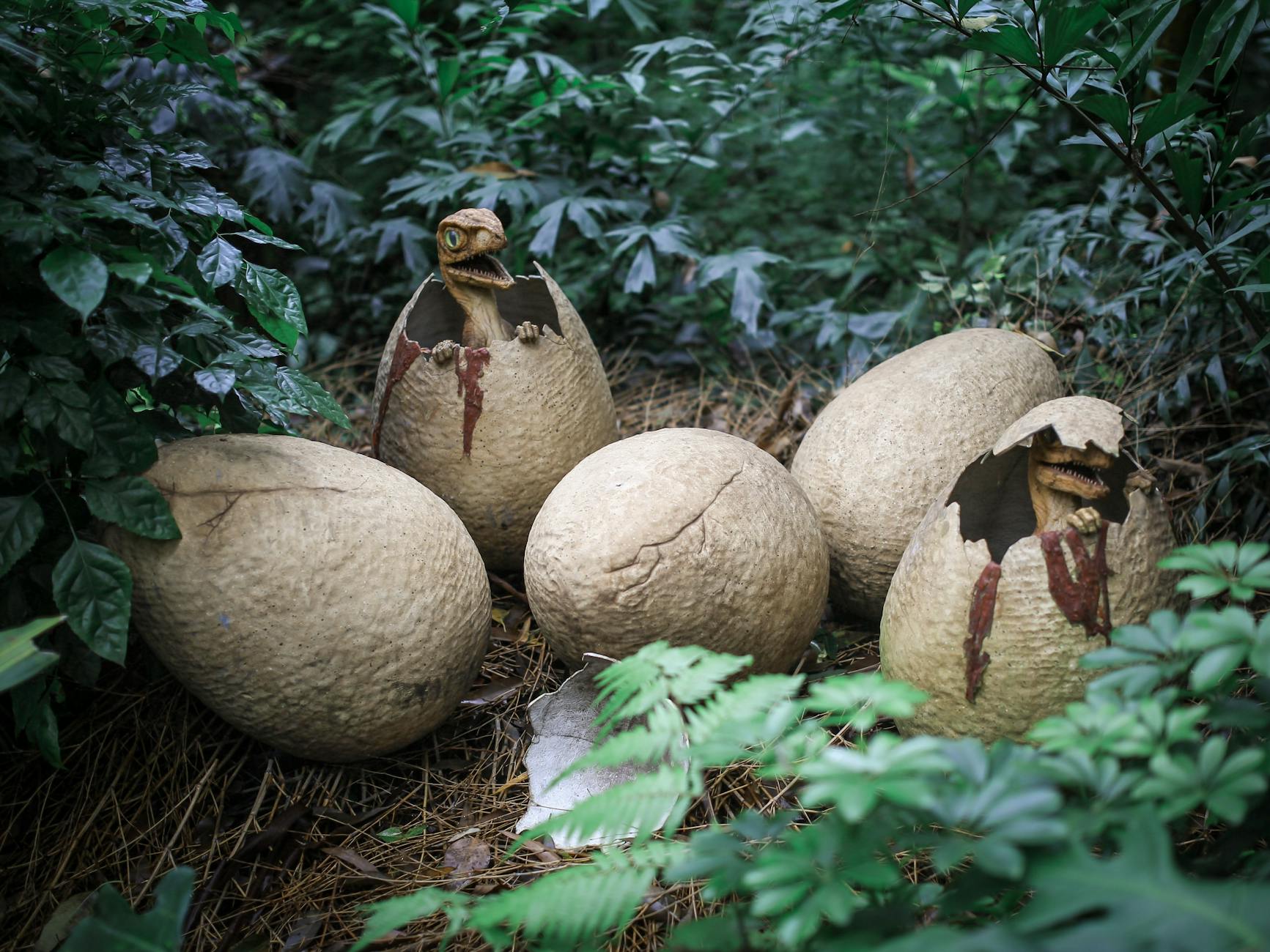 250-million-year-old fossil egg proves mammal ancestors laid eggs