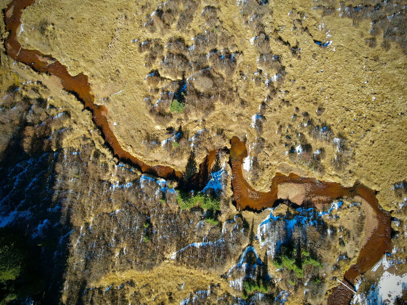 Thirsty vegetation draining Colorado River snowmelt, study finds
