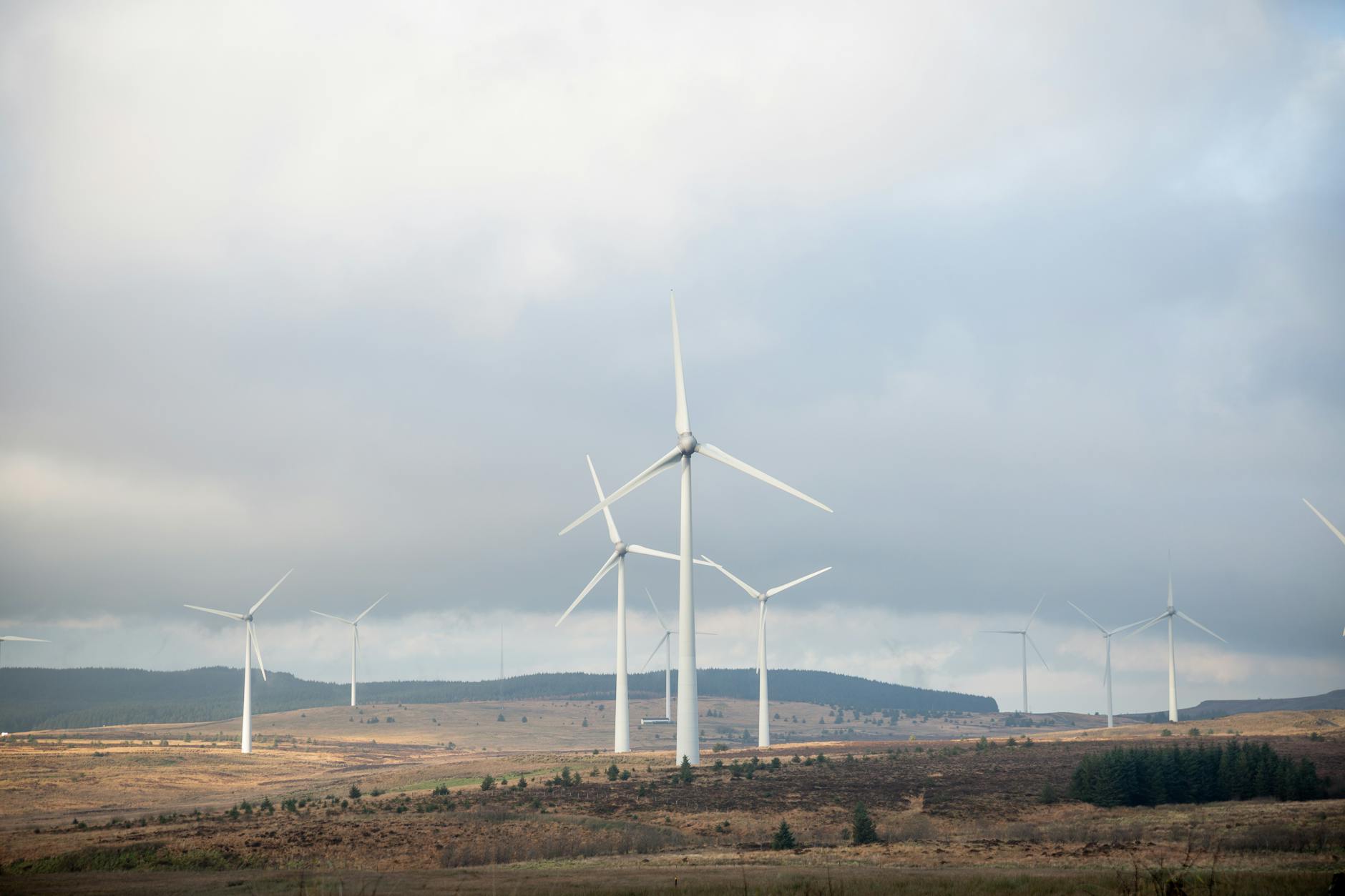 Los parques eólicos generaron el 41 % de la electricidad en Irlanda durante marzo