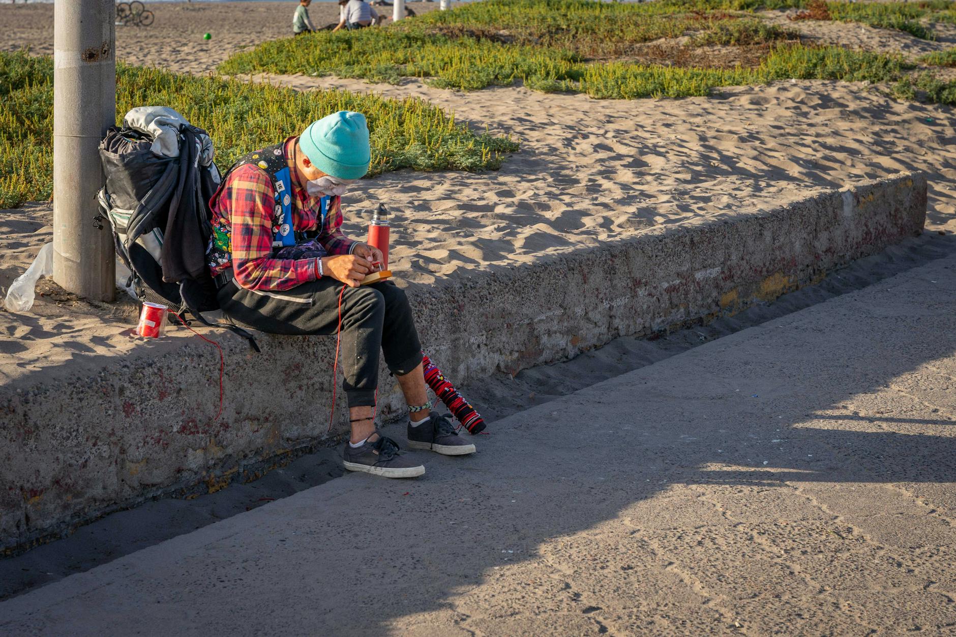 Hallan jibia gigante varada en la Avenida del Mar de La Serena
