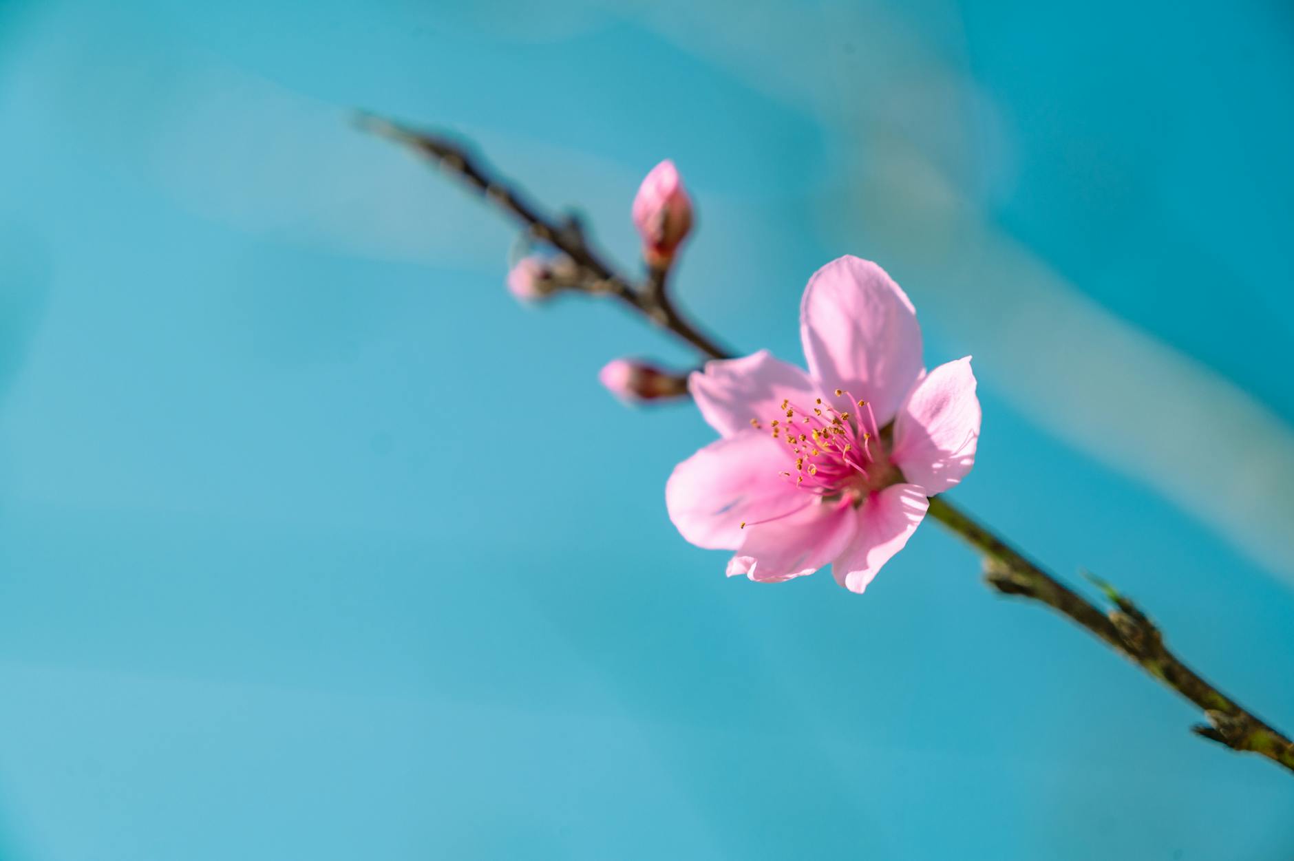 Keanu Reeves elige 'Harold y Maude' como su comedia favorita de todos los tiempos