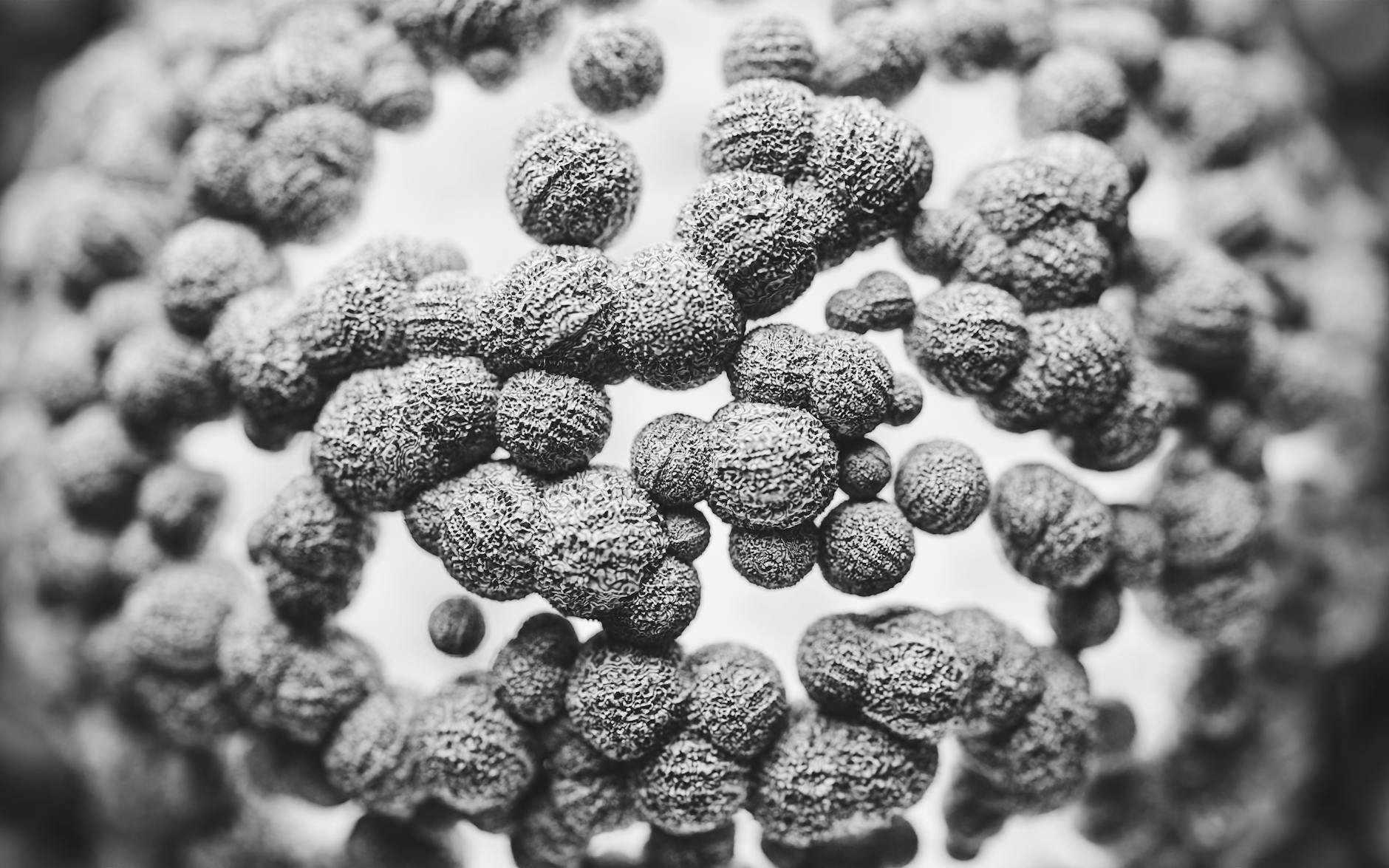 研究人员发现有望阻断EB病毒感染的新型抗体