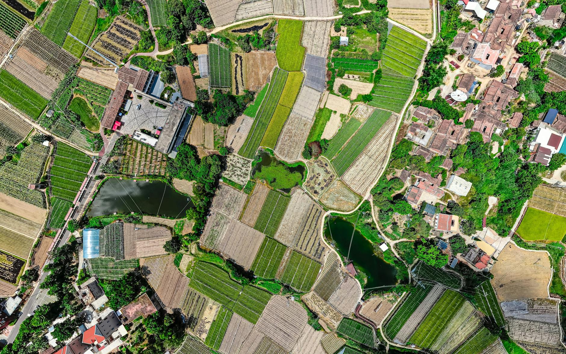 Apple niega haber eliminado localidades del sur del Líbano de sus mapas