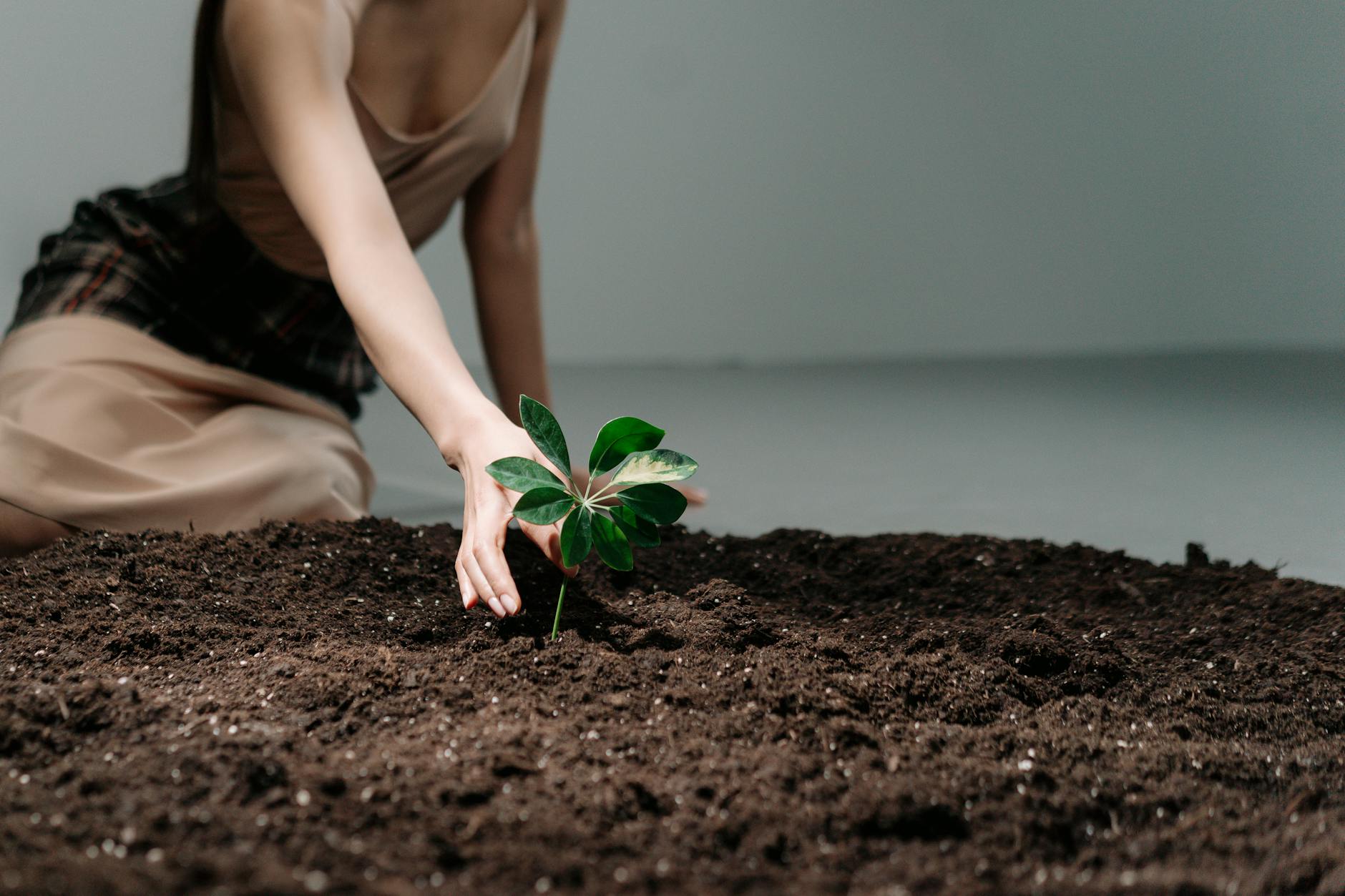 El Día de la Tierra 2026 se centrará en la regeneración del suelo y los límites planetarios