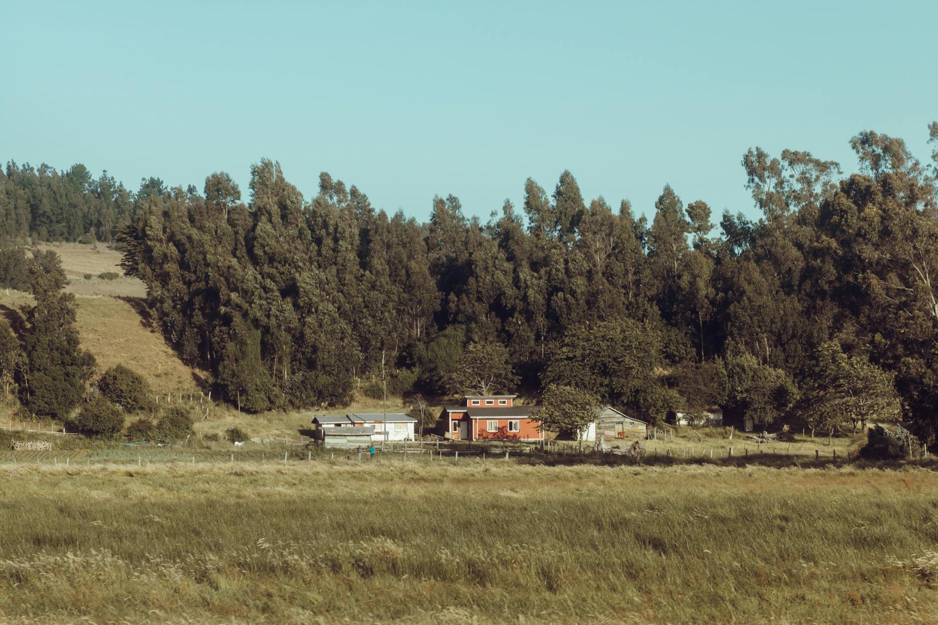 Propuesta de desregulación del suelo amenaza con profundizar la crisis habitacional en Chile