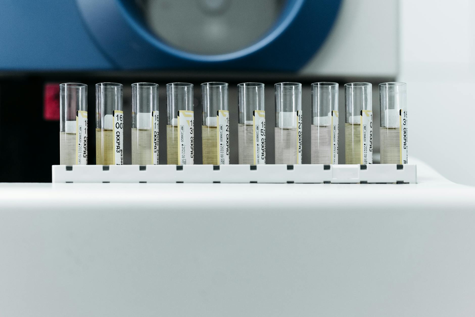 Earth AI to launch in-house labs to bypass mineral testing delays